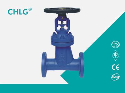 Bellow Sealed Gate Valve