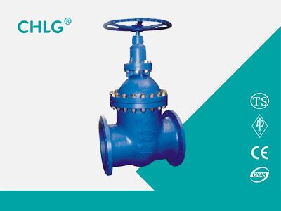 Bellow Sealed Gate Valve