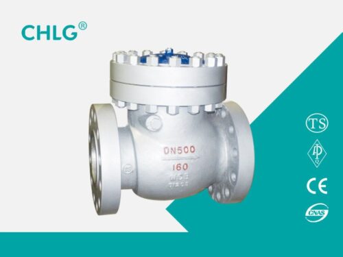 Flange Check Valve