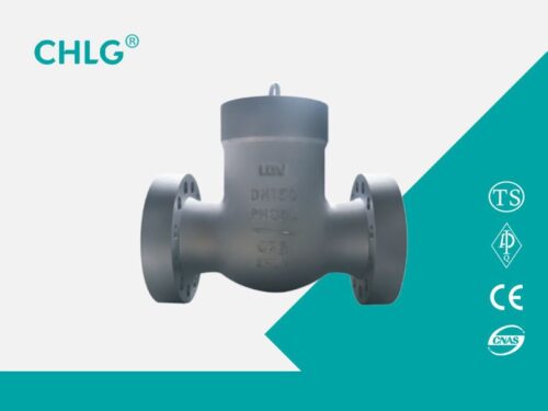 Power Station Check Valve