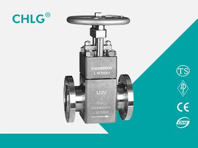 Special Material Globe Valve