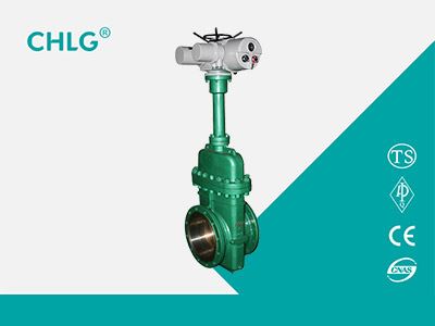 Special Valve for Oil Field