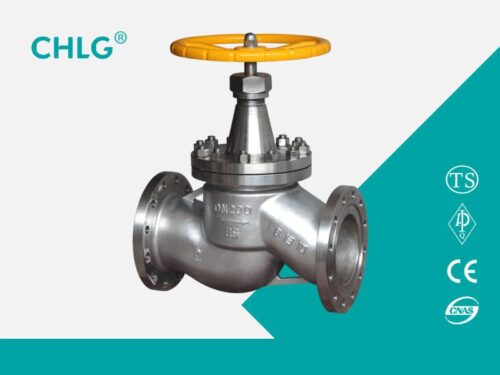 Stainless Steel Ammonia Globe Valve