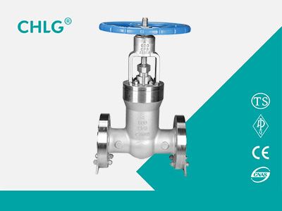 Stainless Steel Power Station Gate Valve