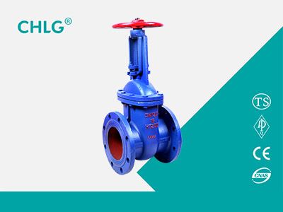 Iron rising stem gate valves